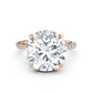 Cathedral Style Halo French U Pave Set Lab Grown Diamond Engagement Ring IGI Certified 4.55 Ctw.