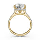 Cathedral  Radiant Halo French U Pave Set Diamond Engagement Ring