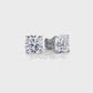 Cushion Lab Grown Diamond Stud Earring IGI Certified in 14k White Gold 6.02 Ctw.